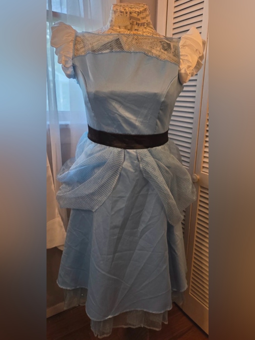 Cinderella costume dress plus XXL. Approx 48” bust, 40” waist, 29” length.